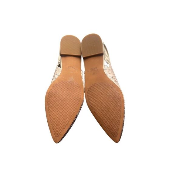 Cole Haan Eden Skimmer Flats Snakeskin Print Womens Size 5 NEW WITH BOX - Picture 7 of 8
